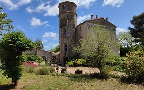 Chateau Saint-Martin