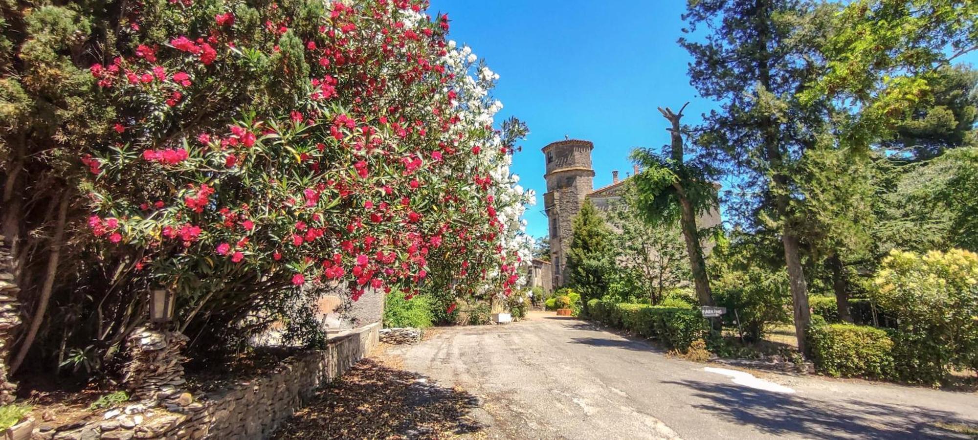 Chateau Saint-Martin Carcassonne Esterno foto